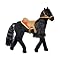 Midnight Morgan Horse
