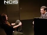 Ncis: Double Blind