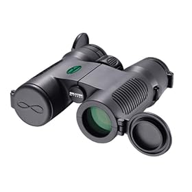 Brunton Eterna 8x32 Midsize Binoculars