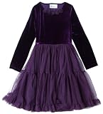 Rare Editions Girls 7-16 Mesh Tutu Dress,Eggplant,8