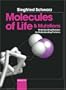 Molecules of Life and Mutations: Understanding Diseases by Understanding Proteins