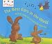 The Best Ears in the World: A First Look at Sound and Hearing (Little Bees)