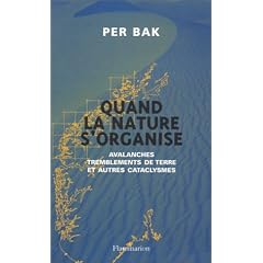 Quand la nature s'organise : avalanches et tremblements de terre