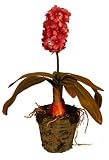 Large Hyacinth - Red - Artificial Plant
