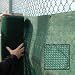 Courtscreen  6  Windscreen (ROL)