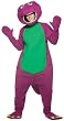 Adult Barney Costume