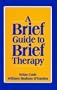 A Brief Guide to Brief Therapy