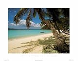 Art Poster Print - British Virgin Islands - Artist: Olmi - Poster Size: 12 X 10 inches