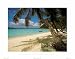 Art Poster Print - British Virgin Islands - Artist: Olmi - Poster Size: 12 X 10 inches