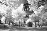 Afternoon in Paris Places Poster Print, 36x24
