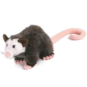  Plush Opossum 10