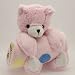 Bear with Blanket Pillow and Blanket Set Pink Dot