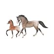 Appaloosa and foal grullo and bay