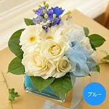 �A�����W�i�K���X�x�[�X�j�i�u���[�j�y���������z