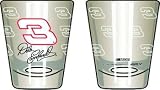 Dale Earnhardt Motorsports Authentic Etched Shot Glass