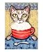 Abyssinian With Mocha Coffee Emerging Artists Giclee Poster Print by Jamie Wogan Edwa...