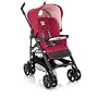Inglesina 2010 Zippy Stroller, Fiamma