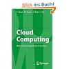 Cloud Computing: Web-basierte dynamische IT-Services (Informatik Im Fokus)