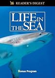 Wondrous Secrets of the Ocean Realm: Life in the Sea