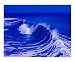 Blue Curl - Ocean City, Maryland