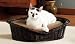 ABO Gear Natural Wicker Pet Bed