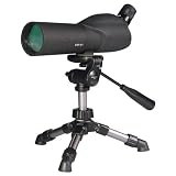 Vanguard VSP-61
