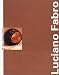 Books : Luciano Fabro (Contemporains Monographies)