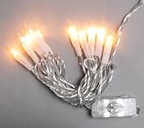 Lichterkette linear, 10 Birnen, transparent mit Schalter