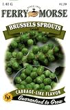 Ferry-Morse Seeds 1237 Brussels Sprouts - Catskill 1.4 Gram Packet