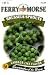 Ferry-Morse Seeds 1237 Brussels Sprouts - Catskill 1.4 Gram Packet