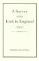 Survey of the Irish in England (1872)