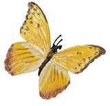 Orange-Barred Sulphur Butterfly (Hidden Kingdom) Orange-Barred Sulphur Butterfly (Hidden Kingdom)