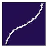 41NED7DawNL. SL160  Sterling Silver Divinely Diamonds Bracelet Romantic Jewelry Gift For Her