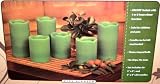 Flameless LED Candle Set: 6 Pack - Real Wax, Pine Scented with Timer Function