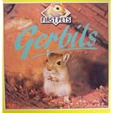 Barrons Books Gerbils First Pets Book