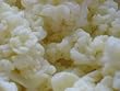 Milk Kefir Grains