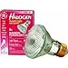 G E Lighting-Commercial #17868 GE 50W Halogen Flood Lamp