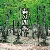 『森の四季 2006カレンダー    Yama-Kei Calendar』の写真