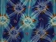 Sarong - "Tie Dye #4, Version 2 Bursts"