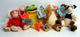 Fpb Big World Tree Pals Asst