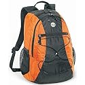 Timberland Timber Sport Spruce Dual Compartment Backpack