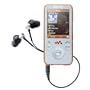 Sony NWZ S 639 FS Tragbarer MP3-Player mit FM-Tuner 16 GB silber