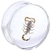 22mm Organic Scorpion Resin Saddle Plug