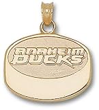 Anaheim Ducks New Puck Charm/Pendant -14K/10K, Stainless Steel or Gold Plated