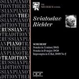 Russian Piano Tradition-The Neuhaus School