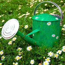Childrens Toyshop  Outdoor Living : crazy daisy watering can