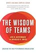 The Wisdom of Teams: Creating the High-Performance Organization (Collins Business Essentials)
