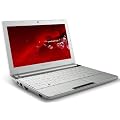 Packard Bell DOTS-C-261G32nww 25,7 cm (10,1 Zoll) Netbook (Intel Atom N2600, 1,6GHz, 1GB RAM, 320GB HDD, Intel GMA 3600, Bluetooth, Win 7 Starter) wei�