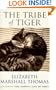 The Tribe of Tiger: Cats and Their Culture