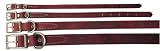 Flat Latigo Collar - 3/4 in. x 18 in.